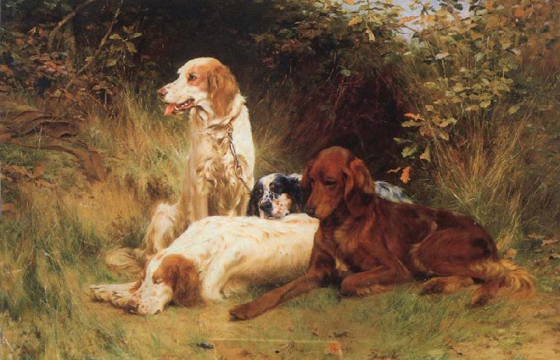 unknow artist Some Dogs Norge oil painting art